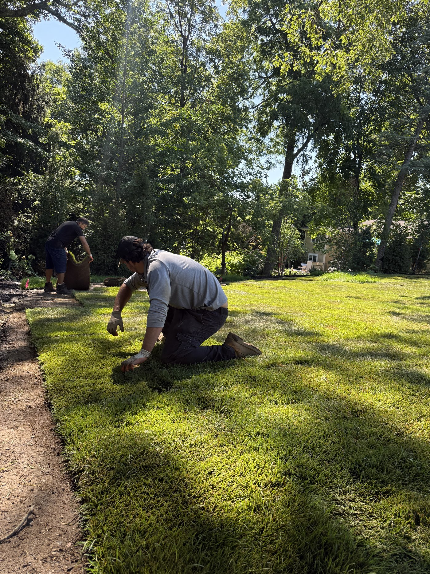 IronPeak crew carefully installing fresh sod at a Massachusetts property